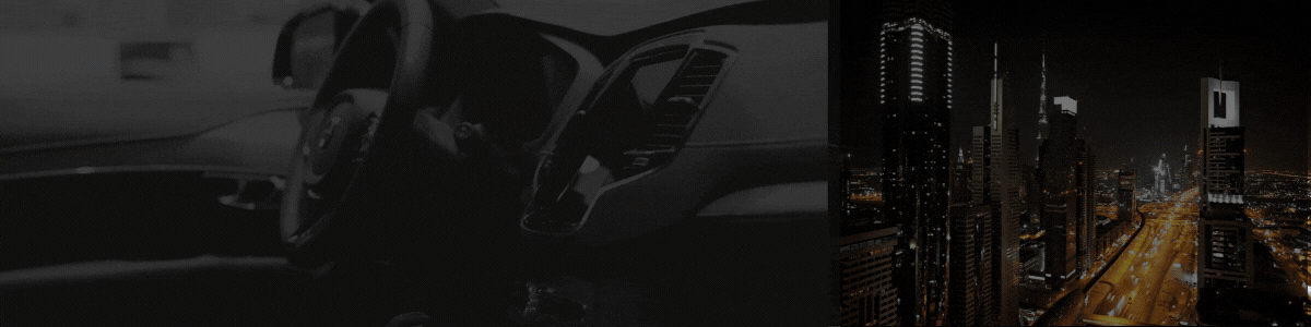 monthly-car/